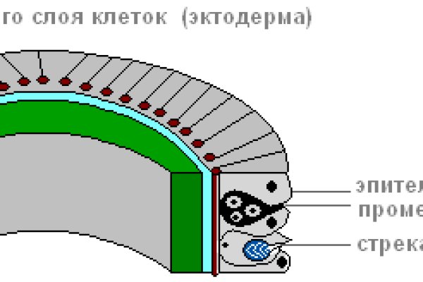 Кракен интернет