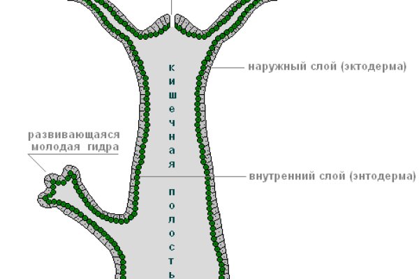 Пользователь не найден kraken